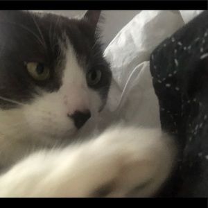 Meet your Posher, Dawn marie